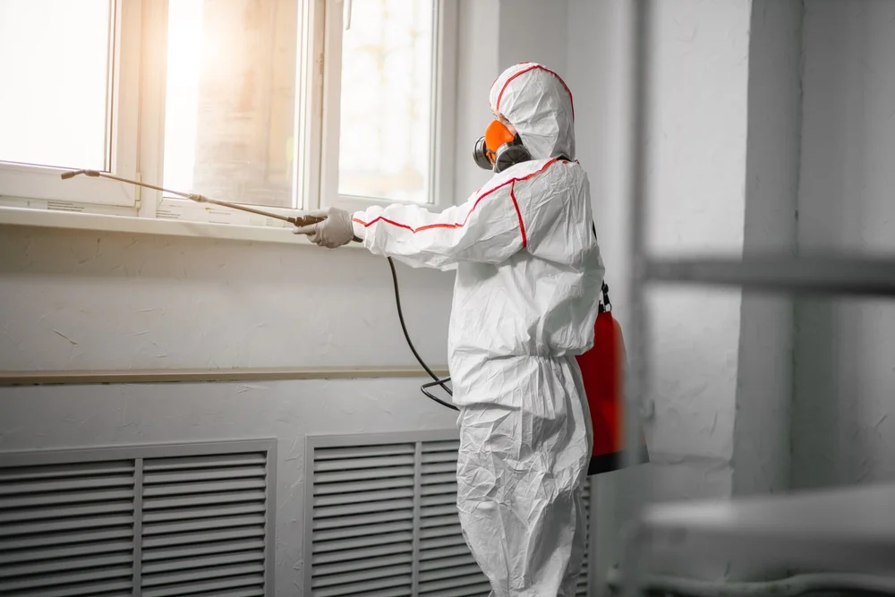 Professional mold remediation services in Sedalia, MO